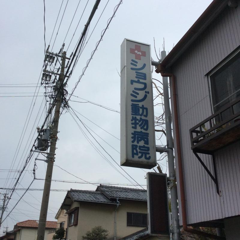 ショウジ動物病院