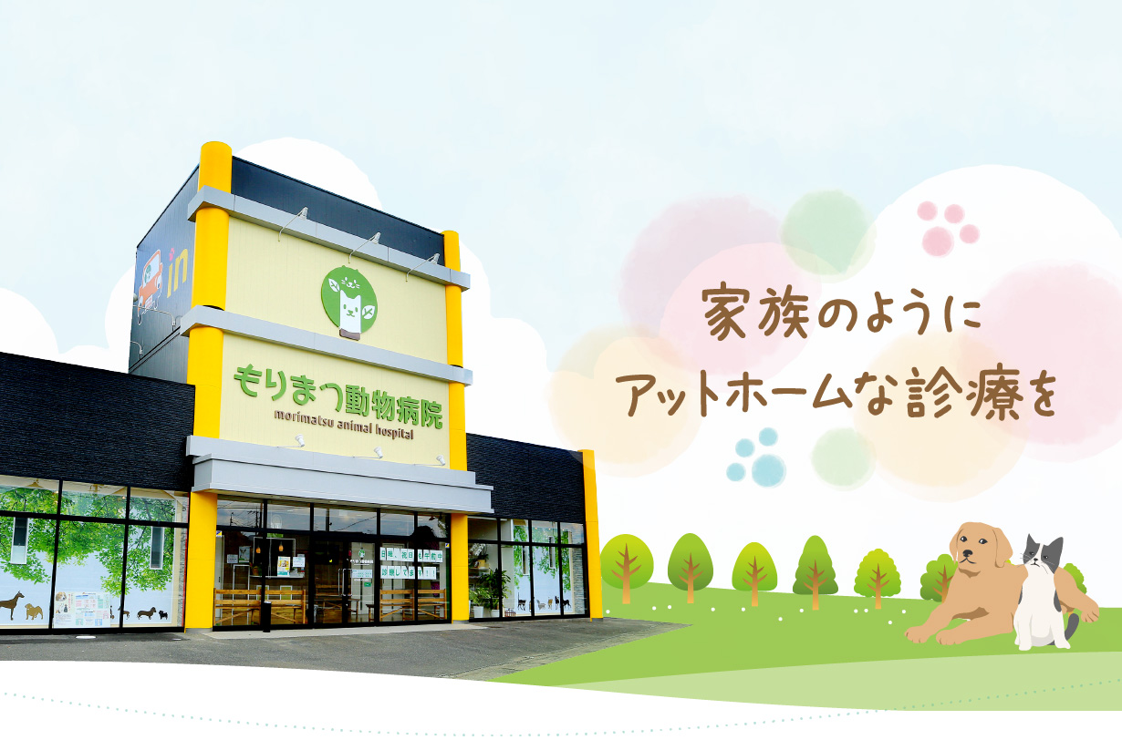 もりまつ動物病院
