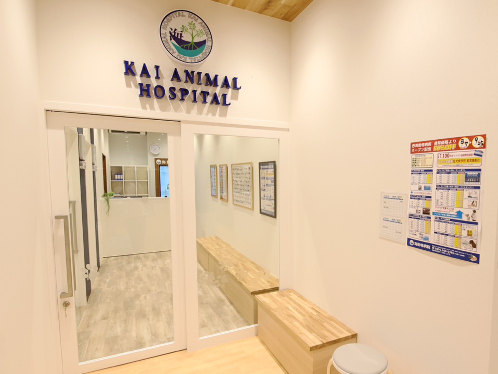 海動物病院　小倉往診所