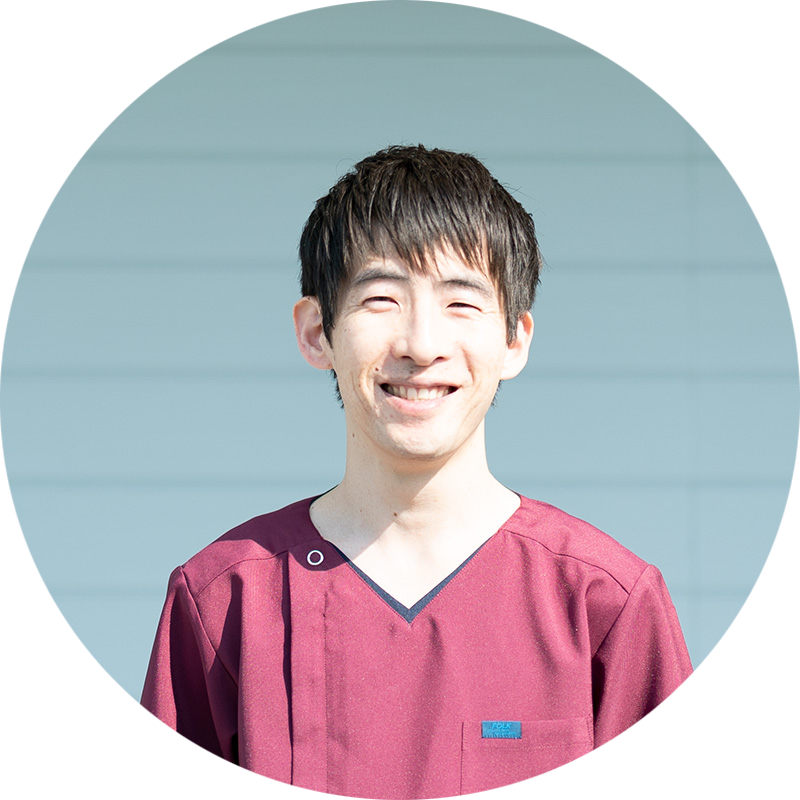 猫の病院すとう