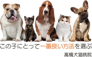 高橋犬猫病院