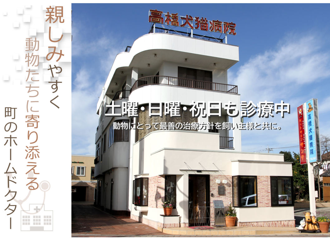 高橋犬猫病院