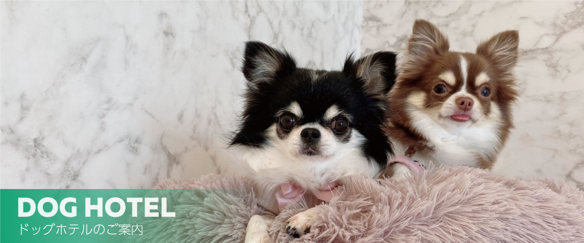 プリティー・ワン 清須本店