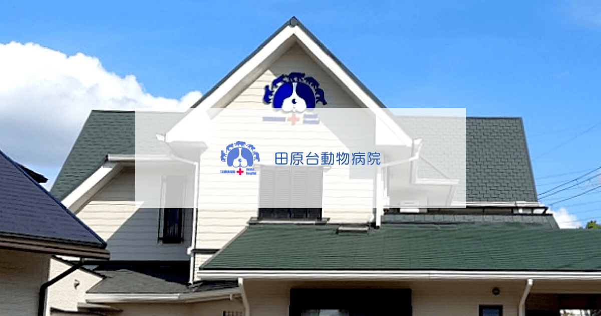 田原台動物病院