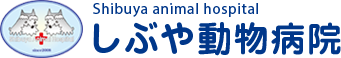 しぶや動物病院