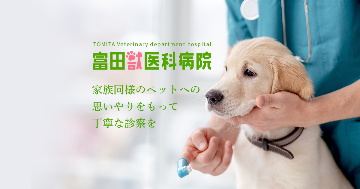 富田獣医科病院
