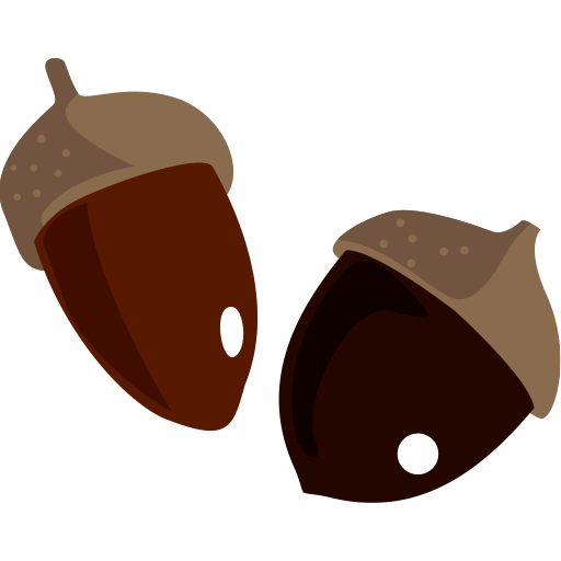 ドングリ犬猫病院