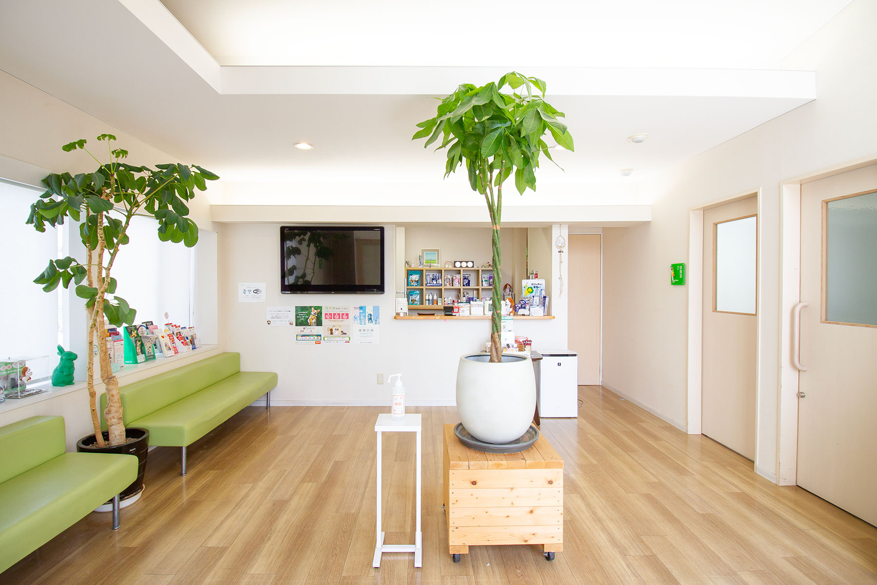 加藤どうぶつ病院