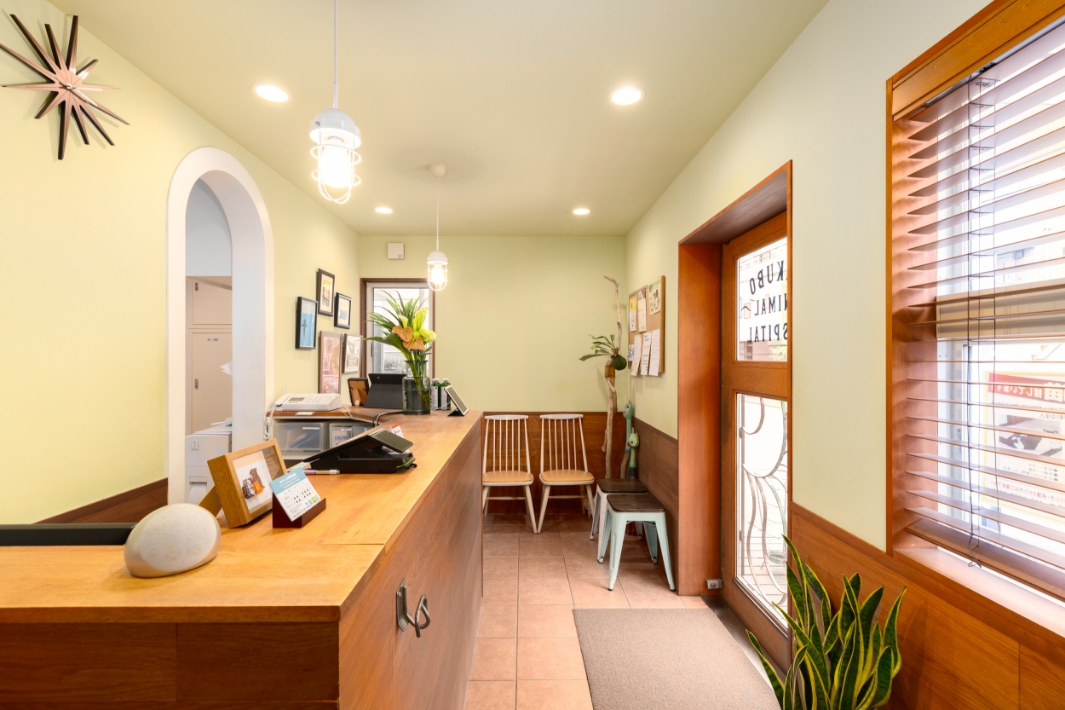 おおくぼ動物病院