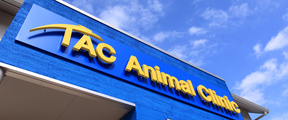 タック動物病院