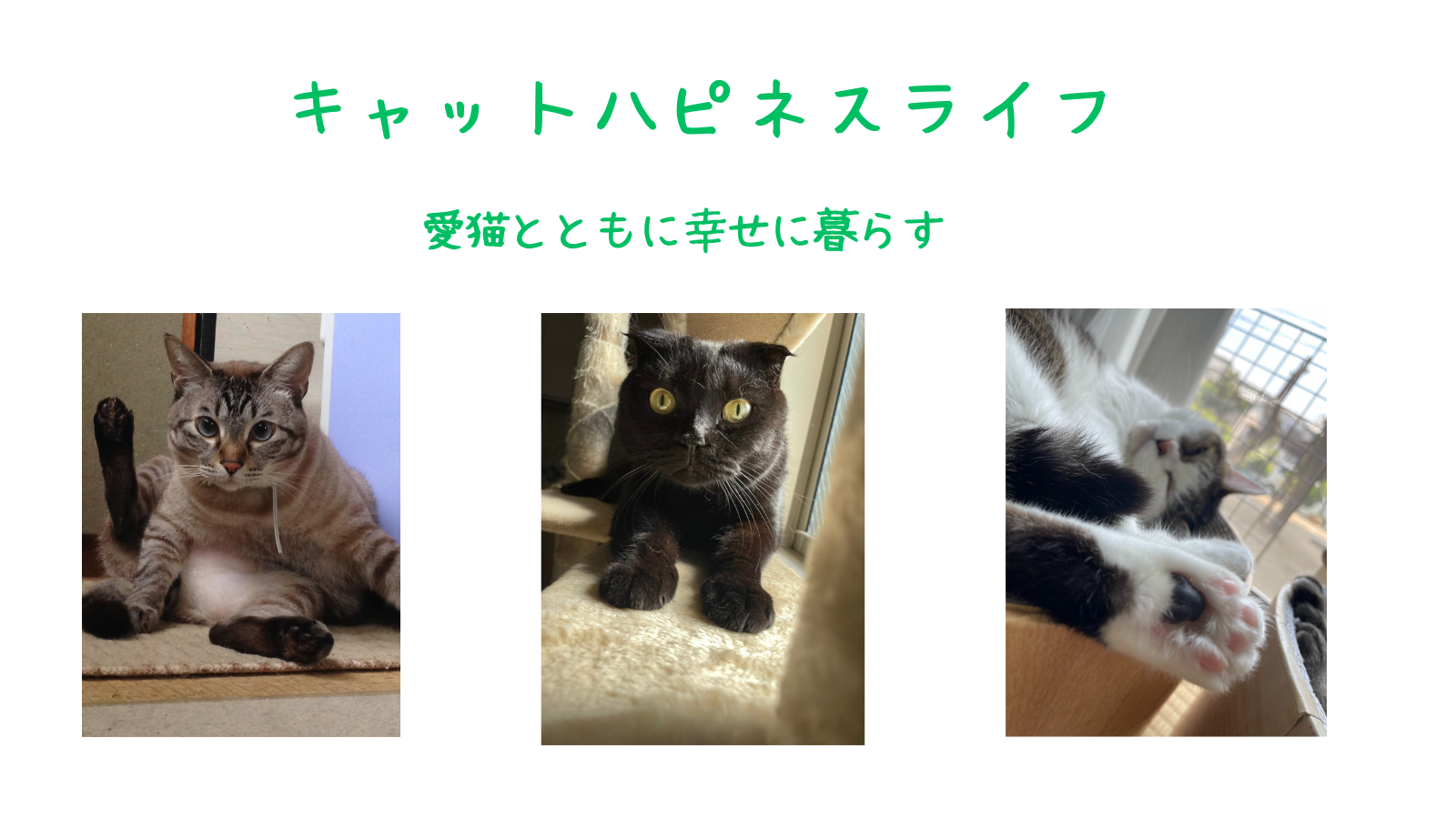 ペットサロンペロン