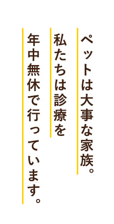 武蔵小金井ハル犬猫病院