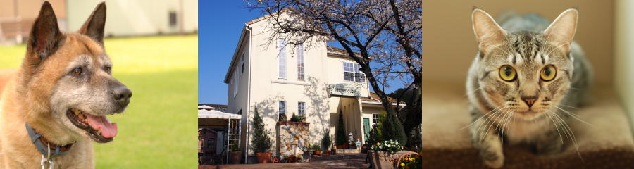 やまがたペットクリニック