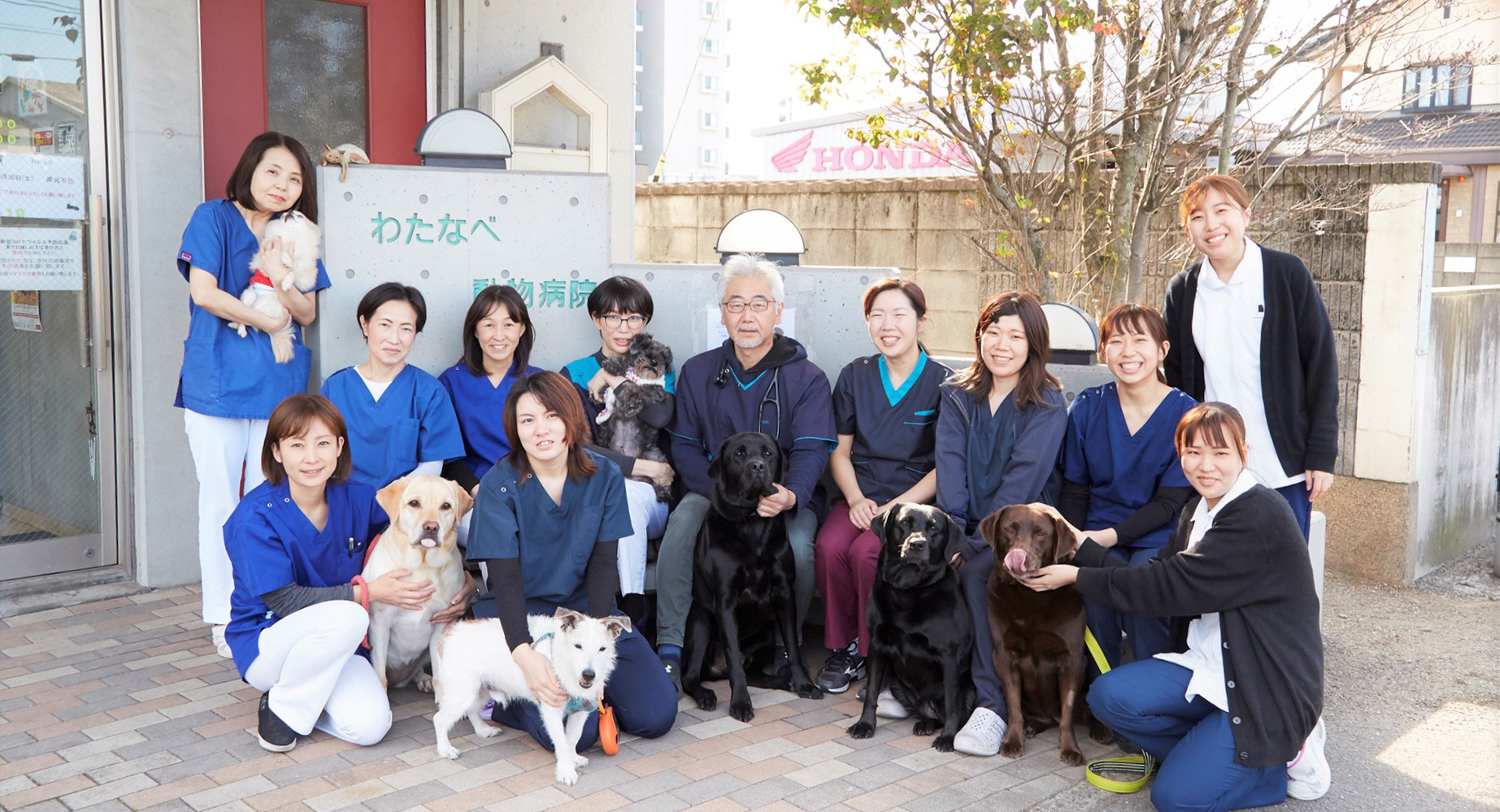 わたなべ動物病院