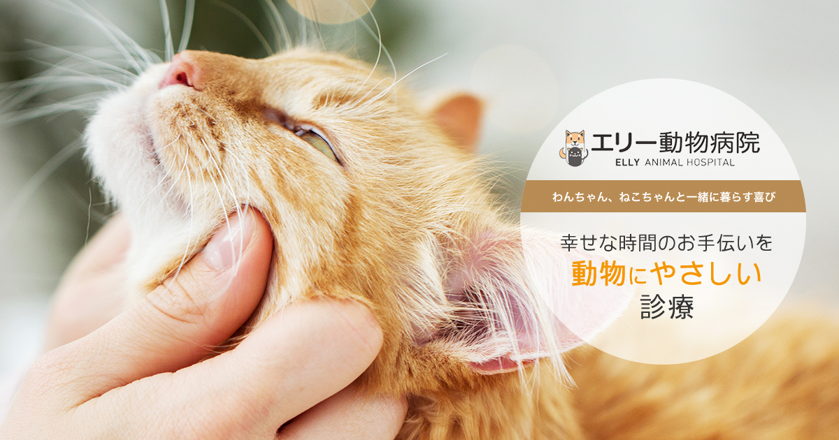 エリー動物病院