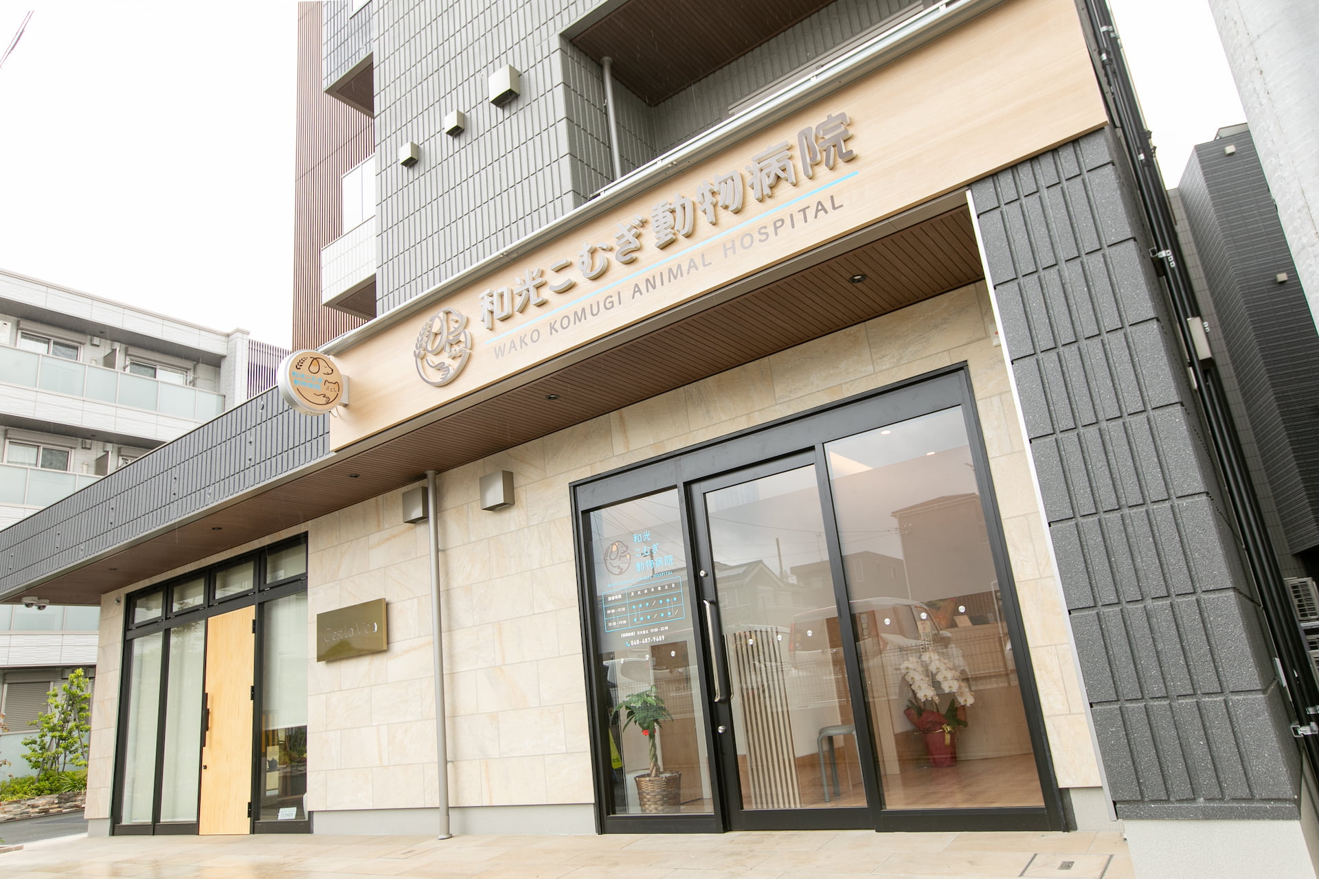 和光こむぎ動物病院