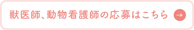 大久保動物病院