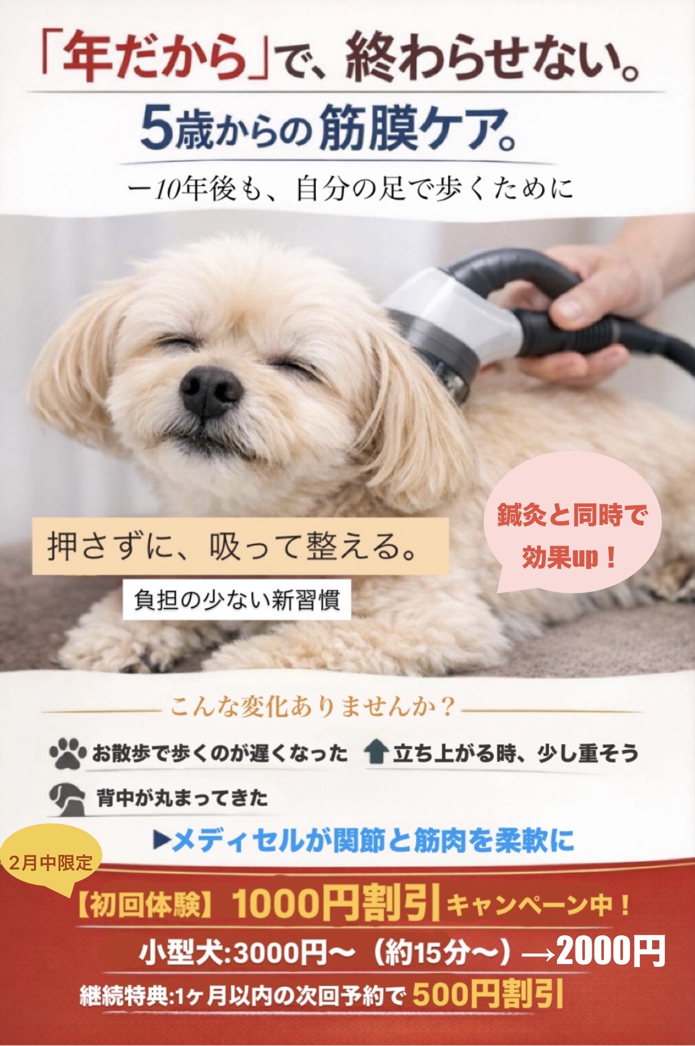 辰巳台どうぶつ病院