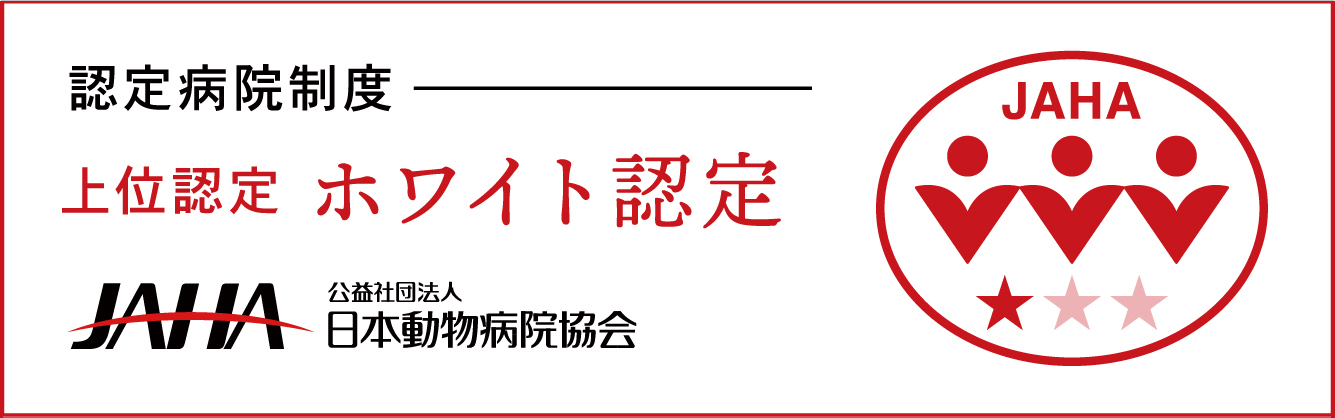 西長堀動物病院