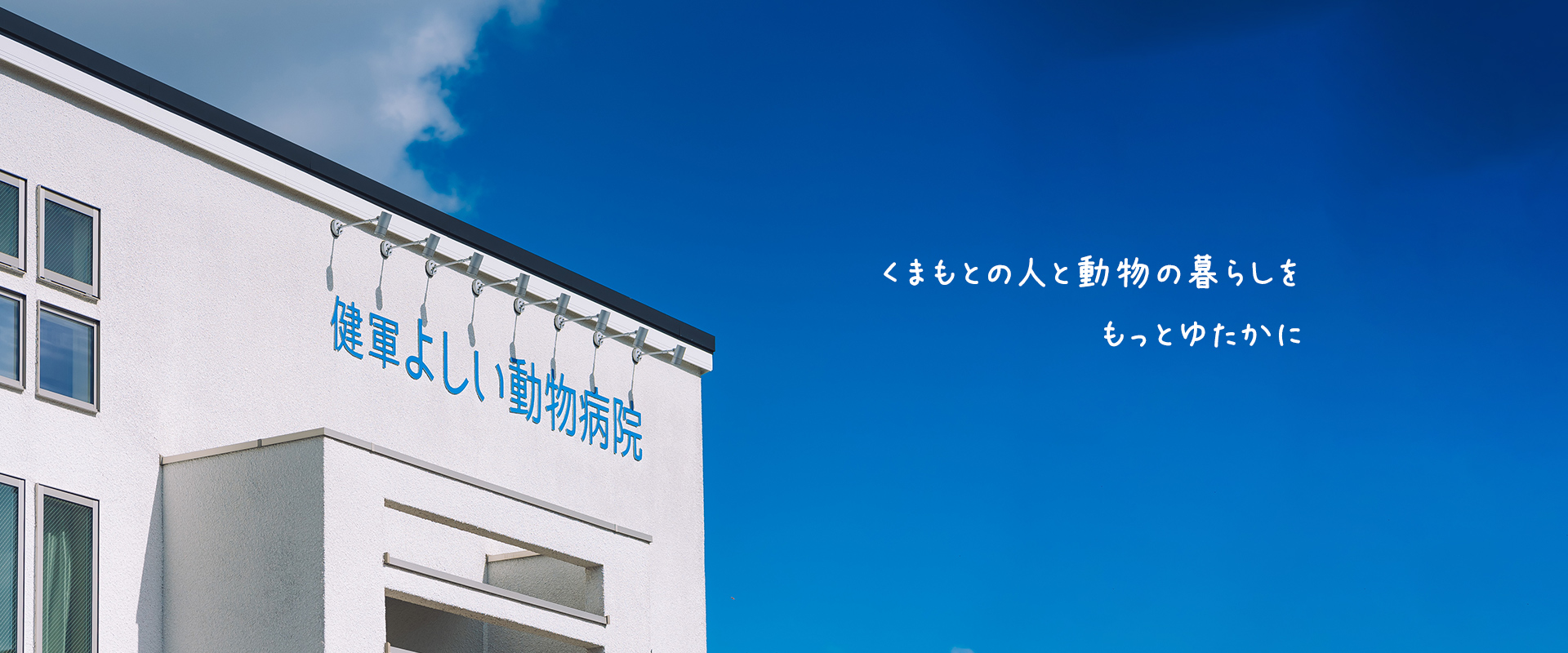 健軍よしい動物病院