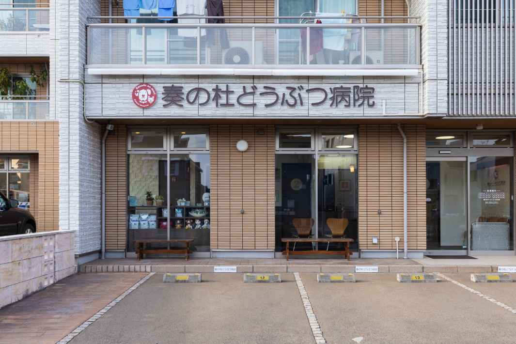 奏の杜どうぶつ病院
