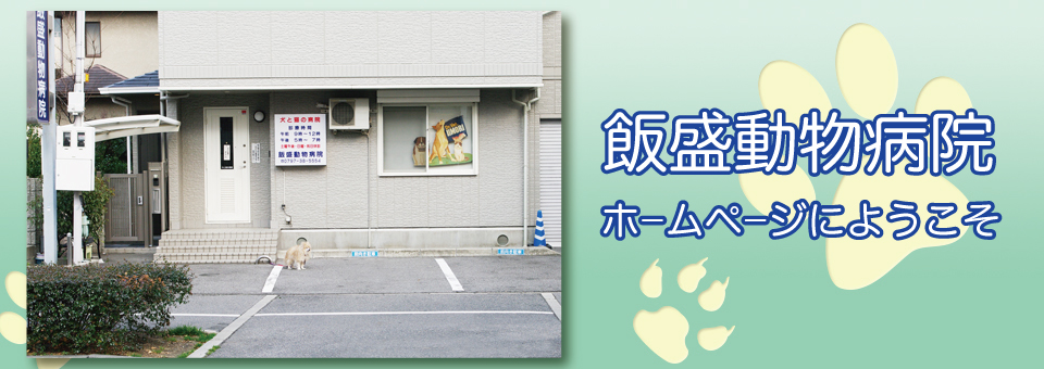 飯盛動物病院