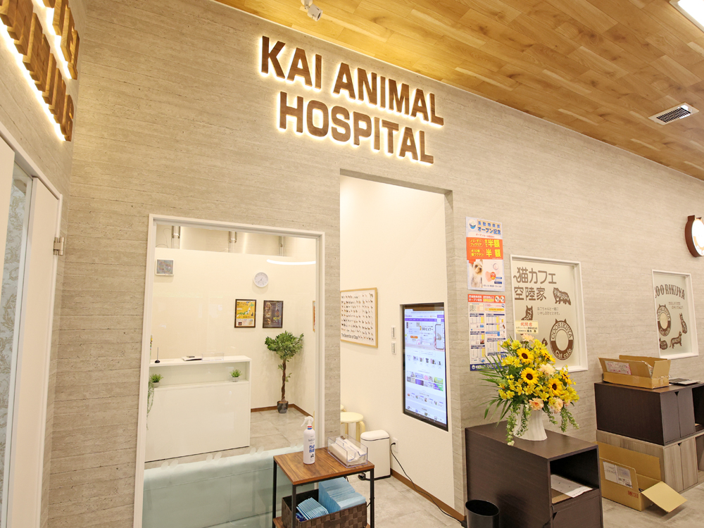 海動物病院　舞鶴往診所