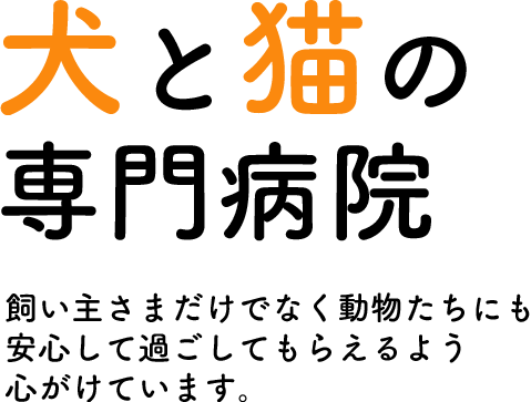 シーサー動物病院