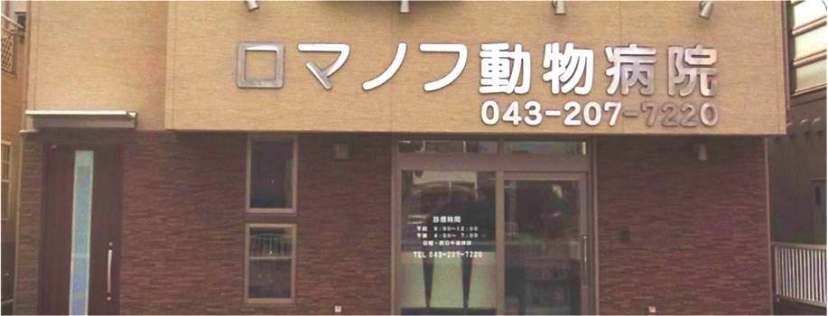 ロマノフ動物病院