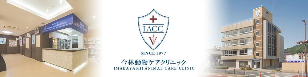 今林動物ケアクリニック