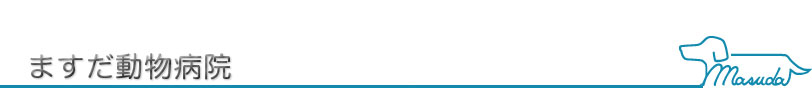ますだ動物病院