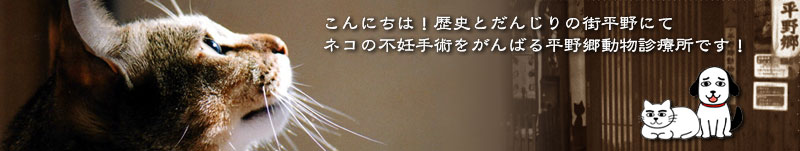 平野郷動物診療所