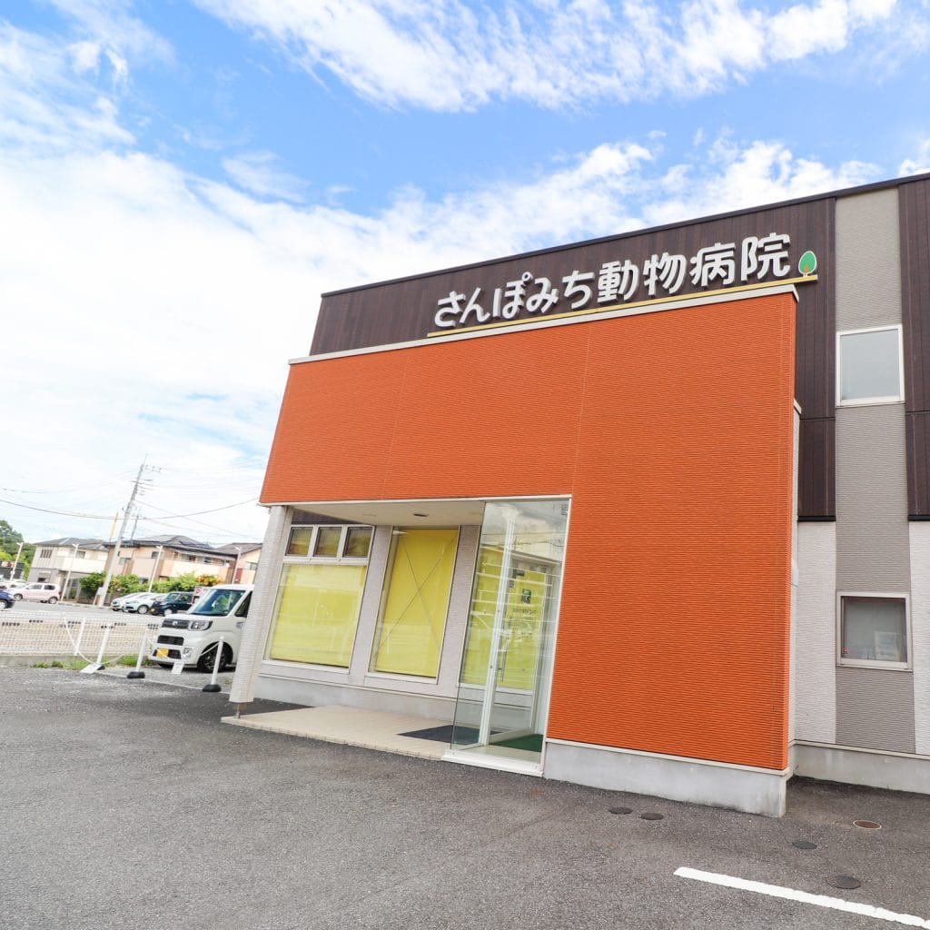 さんぽみち動物病院
