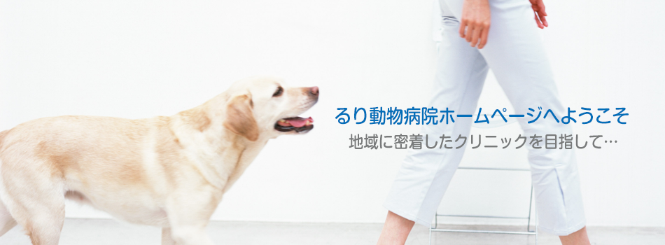るり動物病院