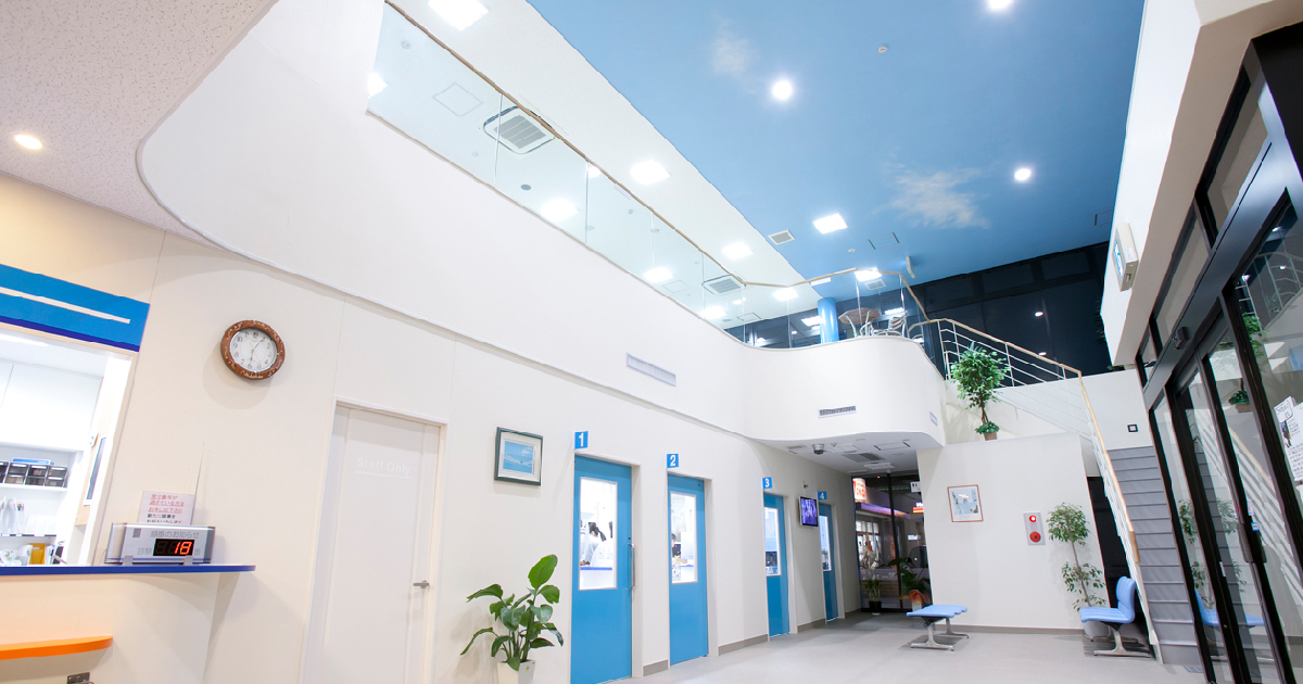 あおぞら動物医療センター