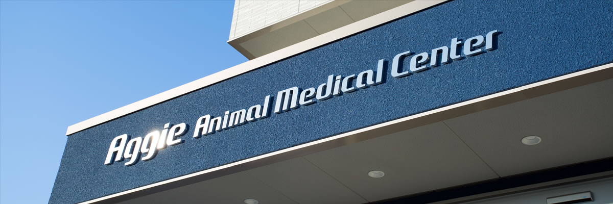 アギー動物医療センター