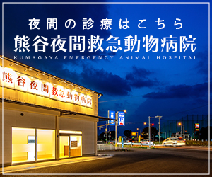 熊谷夜間救急動物病院