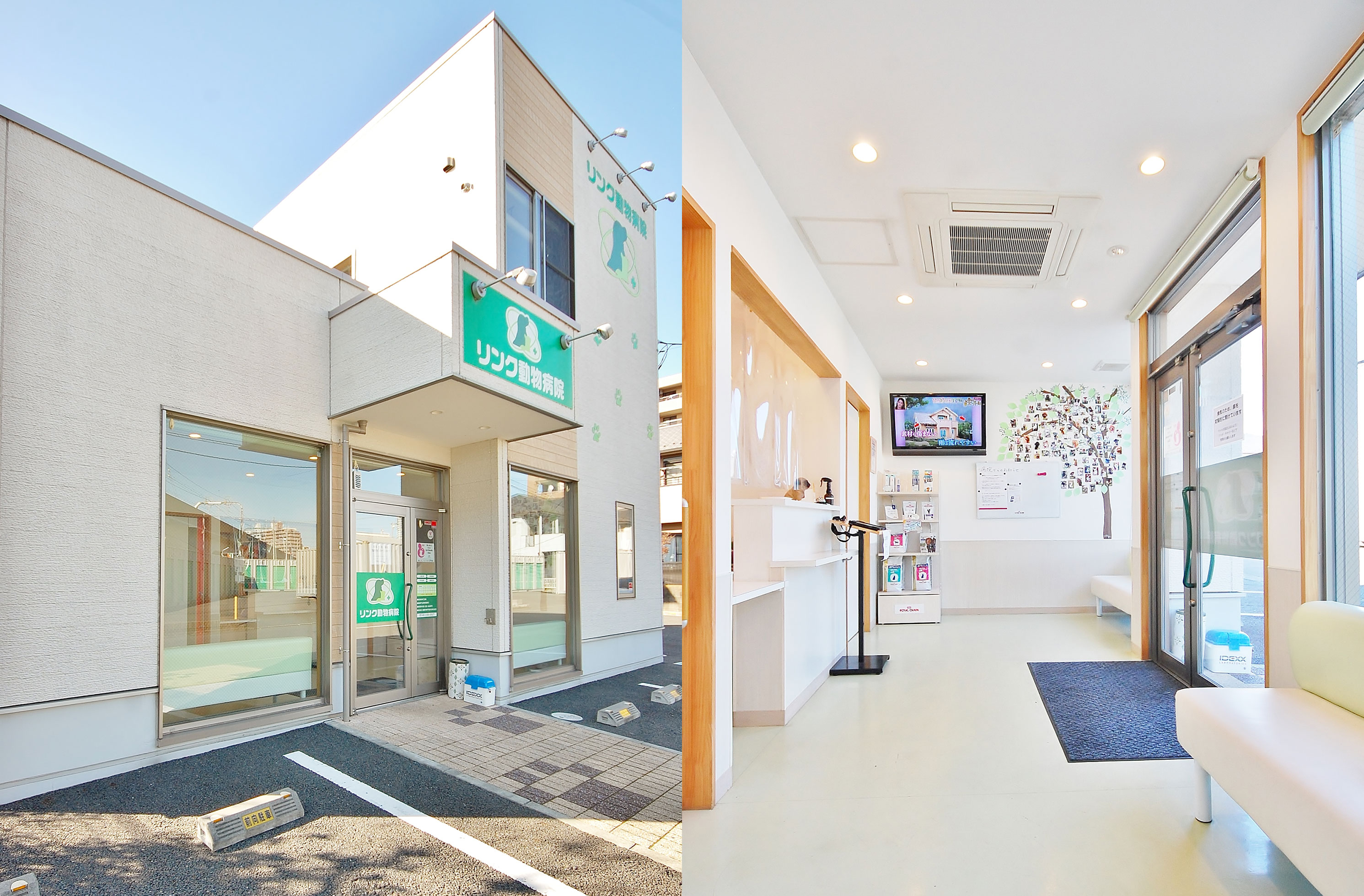 リンク動物病院