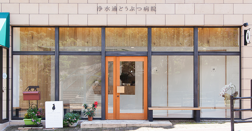 浄水通どうぶつ病院