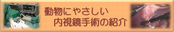 すずき動物病院