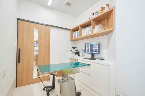 きむら動物診療室