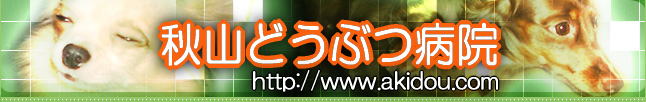 秋山どうぶつ病院