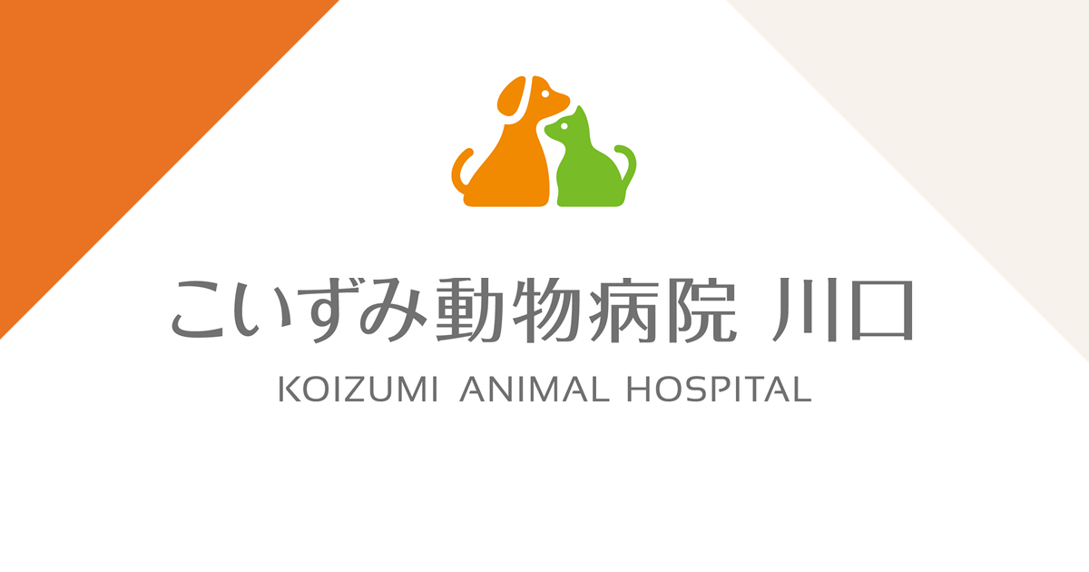 こいずみ動物病院 川口
