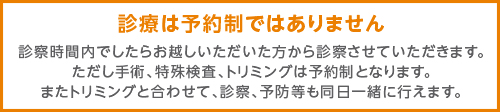 ハダ動物病院