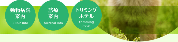 うつのみや動物病院