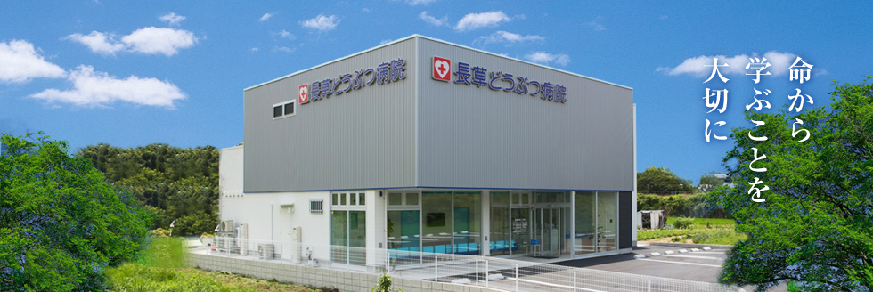 長草どうぶつ病院