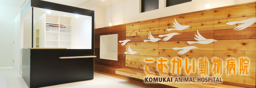 こむかい動物病院
