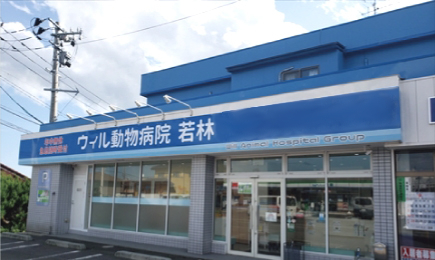 ウィル動物病院 若林病院