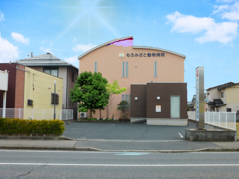 もろみざと動物病院
