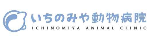 いちのみや動物病院